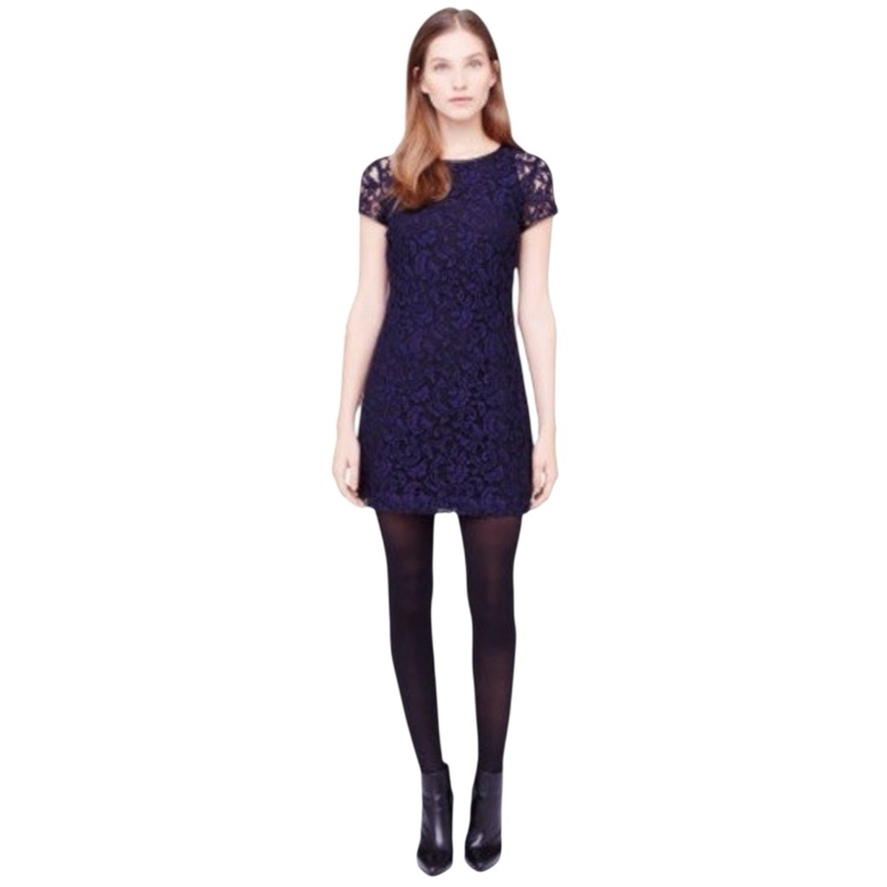 EUC Club Monaco Witherbee Lace Short Sleeve Shift Mini Dress